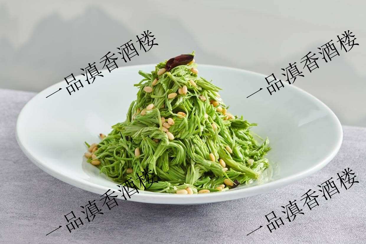 一品松针芽